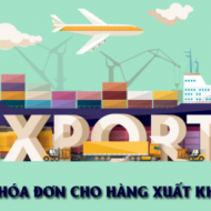 Sử dụng hóa đơn điện tử khi xuất nhập khẩu hàng hóa như thế nào?